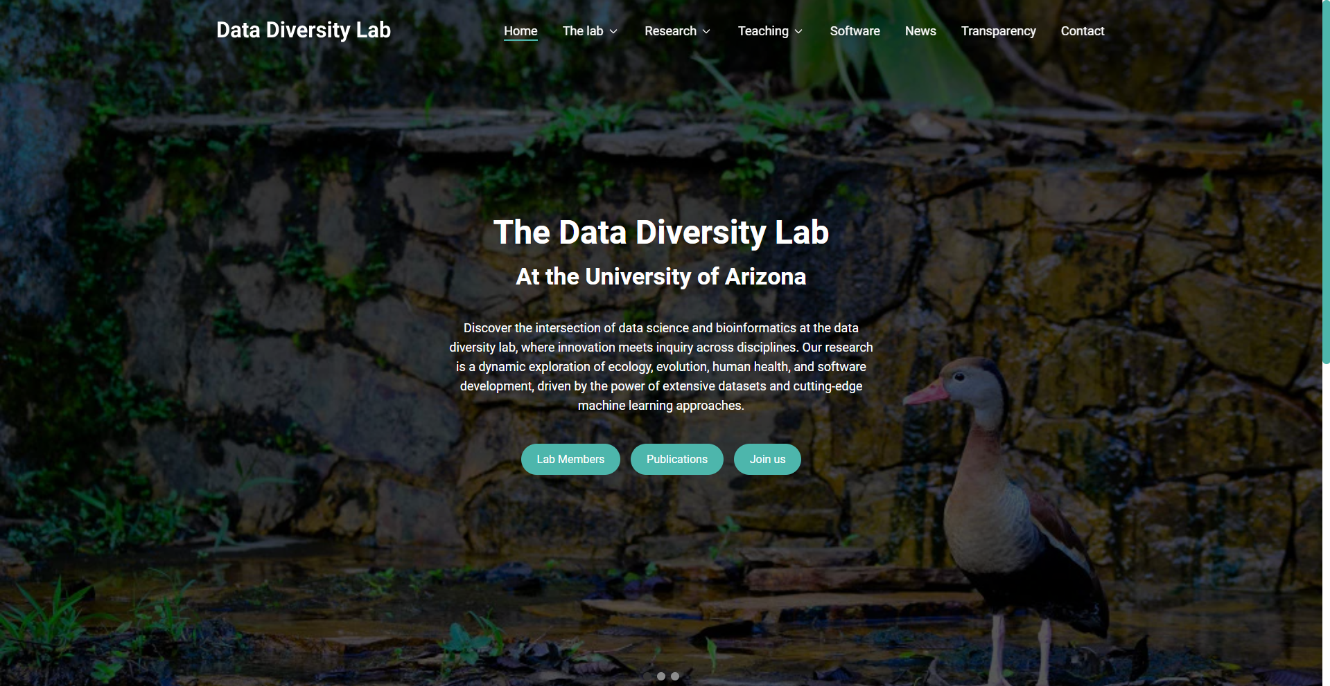 Data Diversity Lab